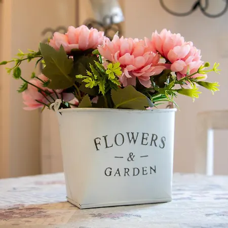 Sogni In Volta * Monopoli