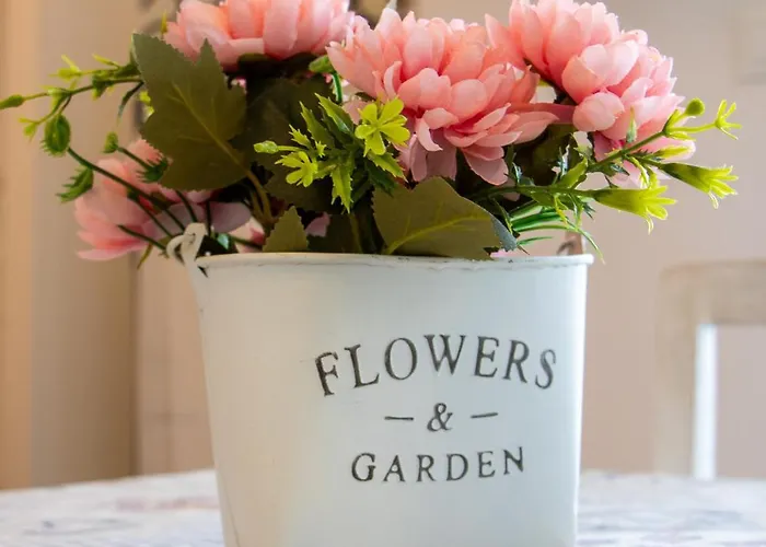 Sogni In Volta * Monopoli